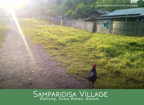 Samparidisa